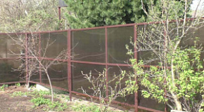 Забор из поликарбоната между соседями на даче
